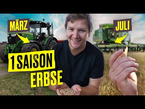 FarmVlog: Von AUSSAAT bis zur ERNTE – Erbsen-Edition I Hundert Hektar Heimat