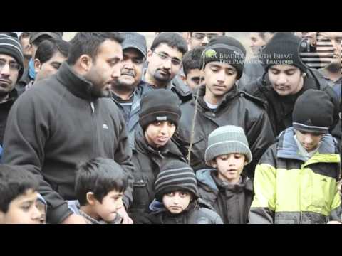 Tree Plantation Bradford November 2011