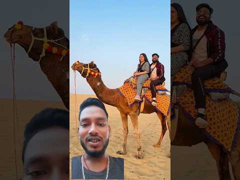 Trip to Jaisalmer part 02 camel Ride  #funny #funnyshorts #love #vlog #comedy #shorts #subscribe 😂