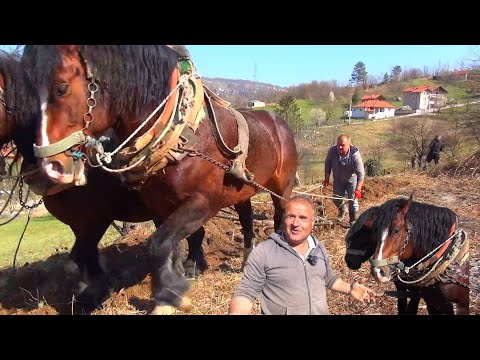 Ja oko konja volim isto što hodža voli da klanja a  oranje mi dođe ko' eksurzija😂.