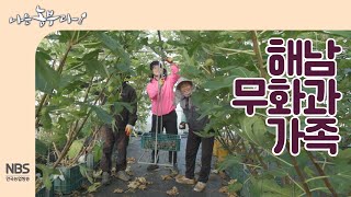 [나는농부다 222회] 해남 무화과 가족