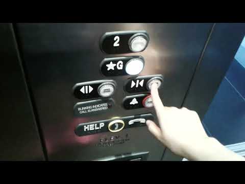 Thyssenkrupp Signa4 Elevator at Joey Sherway Toronto Ontario