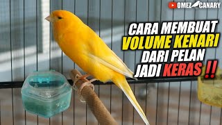 Download lagu CARA AGAR VOLUME KENARI LEBIH KERAS & NGOTOT mp3