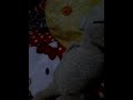 My teddy tube HD