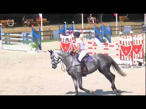 Aleksandra Lusina-Gołaś CSIYH Zuidwolde 2018