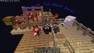 Minecraft Tek Block Serisi #1 Trollendik
