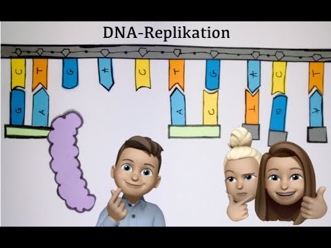Identische DNA-Replikation - Deutsch