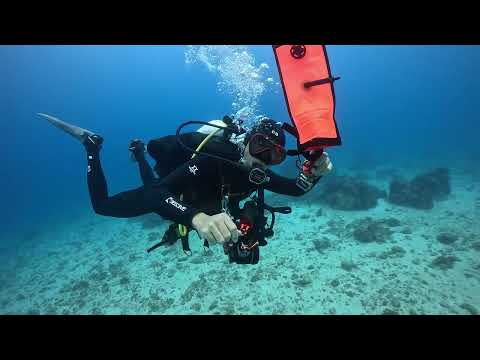 課程 - SMB deployment 水面信號裝置 (浮力袋) 施放示範 by 島氮潛水