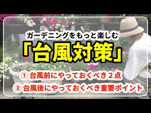 植物に活力を与えるために緊急に知っておくべき、庭でのエプソムソルトの6つの使い方!  庭園