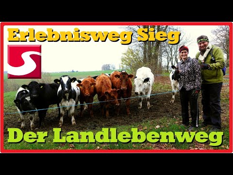 Der Landlebenweg (Erlebnisweg Sieg #17) [2,7K]