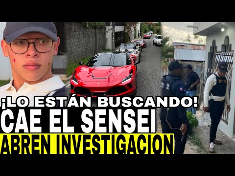 CAE EL TRADING DOMINICANO EL SENSEI ABREN INVESTIGACIÓN UNOS PERIODISTAS DUDAN COMO LOGRÓ TODO