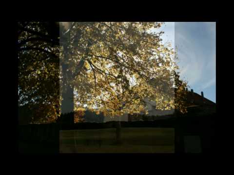 Video thumbnail for Lingering Sounds
