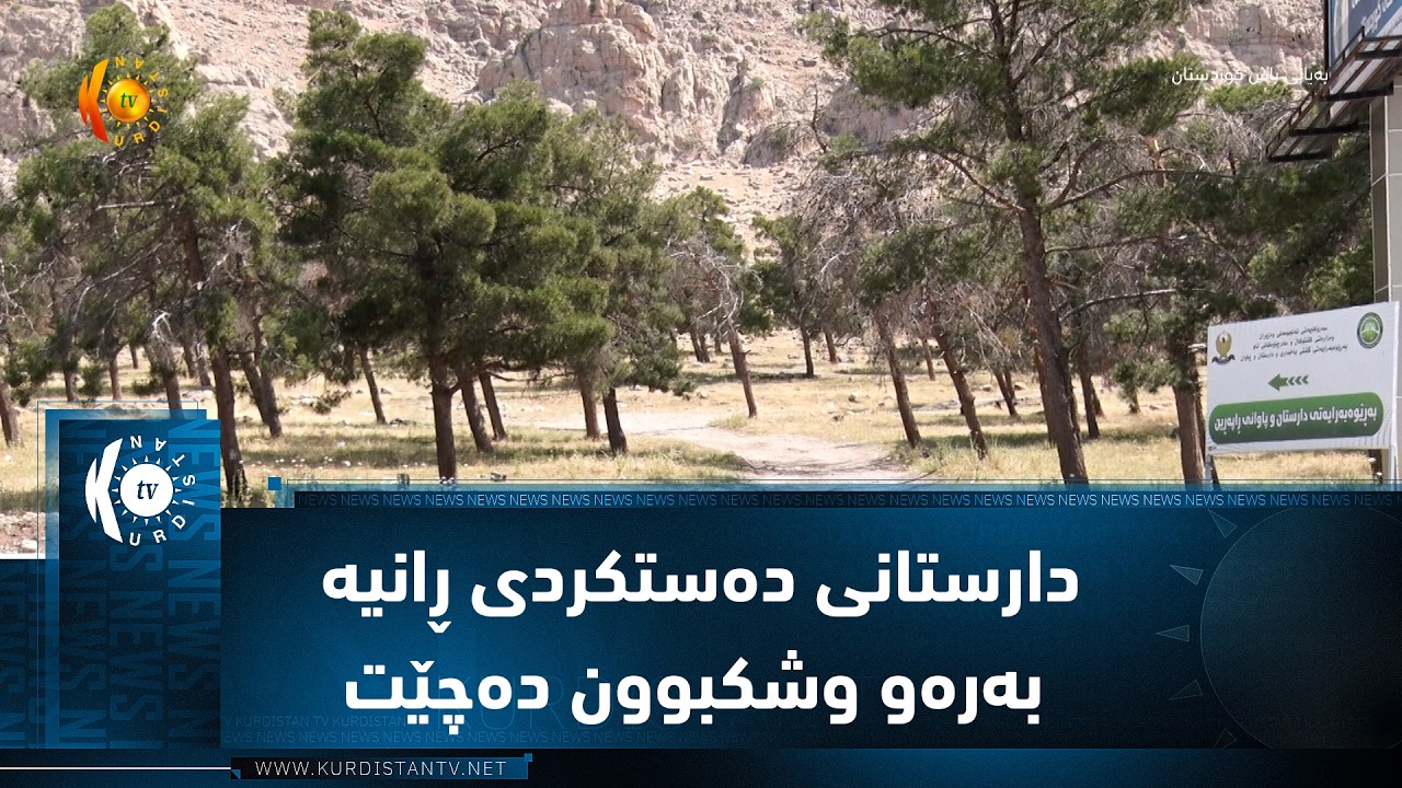 ڤیدیۆ | دارستانی دەستکردی ڕانیە بەرەو وشکبوون و لەناوچوون دەچێت