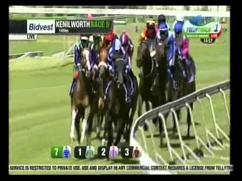 Jiggery Pokery - Course de reference - Racing Association