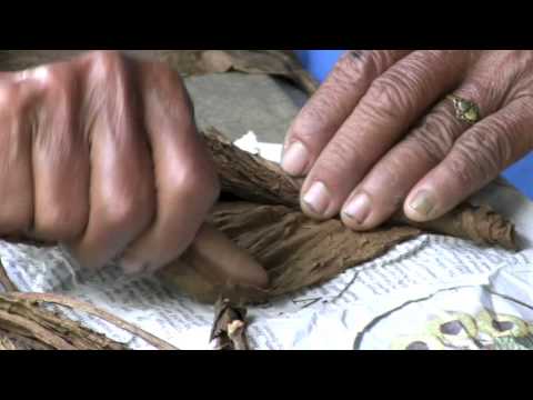 Cigars handmade