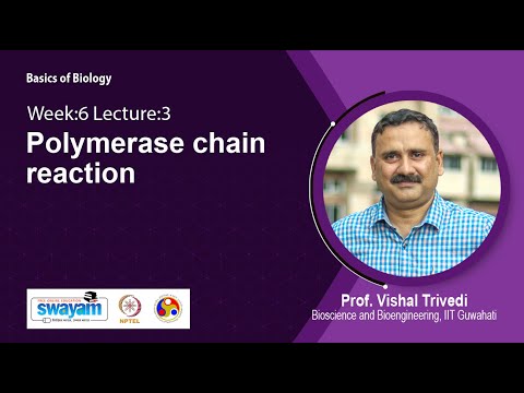 Basics of Biology Intro Video