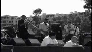 Revolution Rock - the Dingees