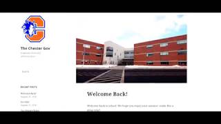 A Quick Look At TheChesterGov.com | Vote Re4mers