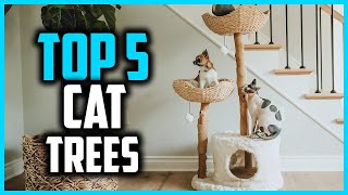 ✅ Top 5 Best Cat Trees in 2026
