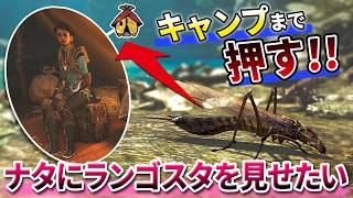 【検証】緋の森限定の『特殊なランゴスタ』をナタのいるベースキャンプまで運べるのか！？【モンハンワイルズ】