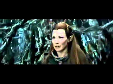 The Hobbit  Desolation of Smaug   Elves meet dwarves in Mirkwood forest