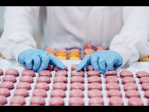 Macarons production in France at Castelsarrasin