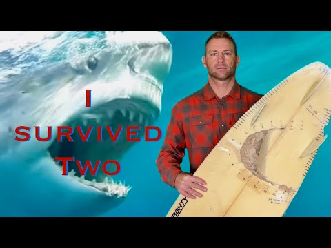 Arctic Surfer Escapes 2 Great White Sharks Attack