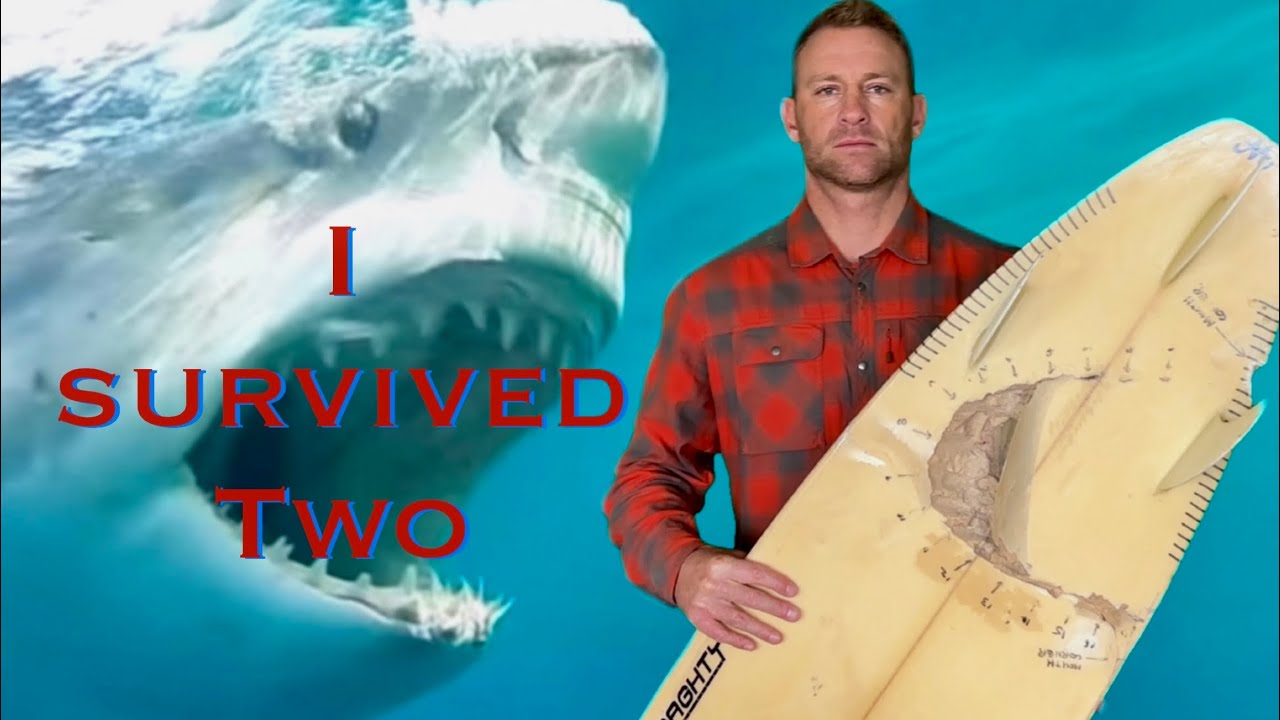 Arctic Surfer Escapes 2 Great White Sharks Attack