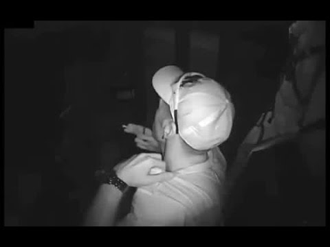 Three people steal bus in Polk