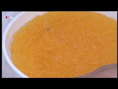 Pielach - Im Garten der Voralpen Doku (2006)