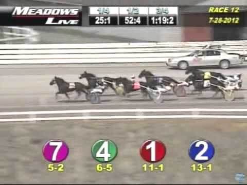 Bolt the Duer *** 2012  ADIOS FINAL WINNER ***