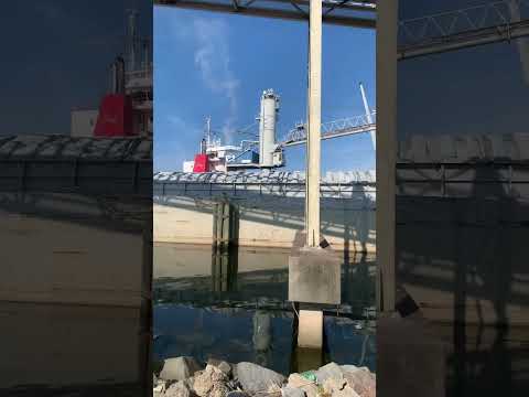 Crane loading and unloading soybeans and corn.