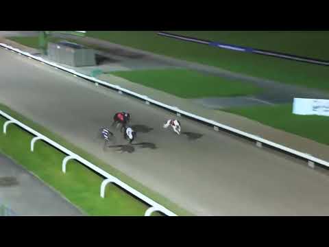 Elderberry Sky - British Breeders Stakes Semi Final 3