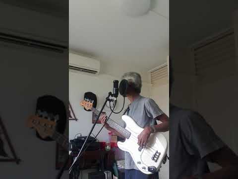 Streets Of Bakersfield (Cover version).