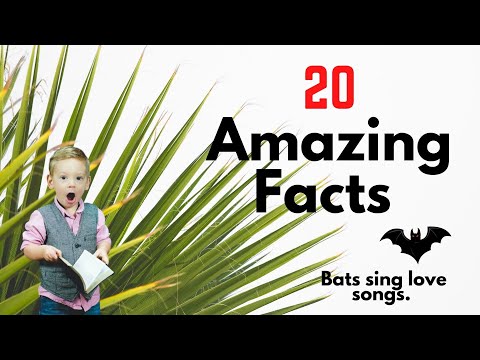 20 Amazing / Incredible / Interesting / Funny facts