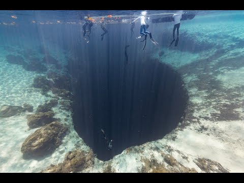 Vertical Blue 2021 - Day 6