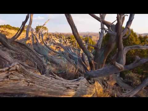 Mos u Trishto - Sillu mirë me njerëzit - 25