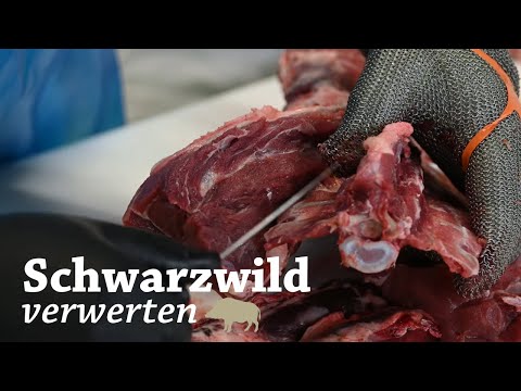 Wildschwein zerlegen: Rücken und Nacken auslösen | Saujagd | Drückjagd | Wildfleisch | Jungjäger