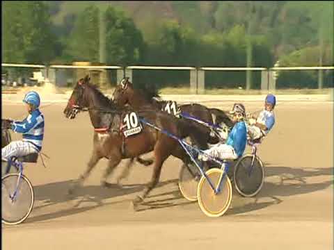 Trotto 25/05/2018 - 6ª corsa