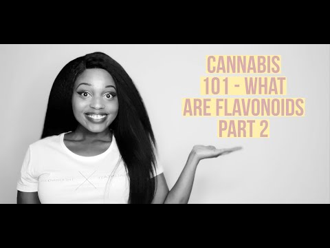 CANNABIS 101   WHAT ARE FLAVONOIDS PART 2