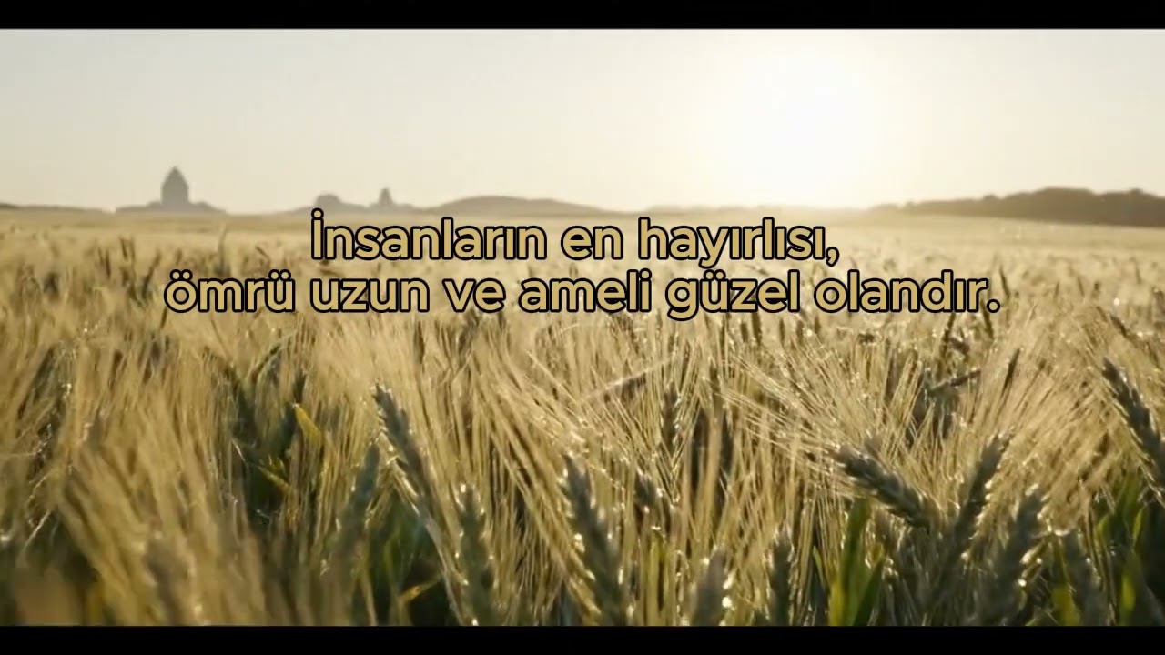 İnsanların en hayırlısı kimdir? 🌿