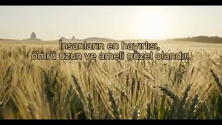 İnsanların en hayırlısı kimdir? 🌿