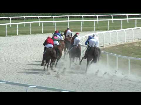 2017.06.18. 4. futam - ID. KLIMSCHA ALBERT EMLÉKVERSENY HENDIKEP (V.o.) (szintetikus pálya)