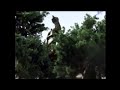 Power Rangers Dino Thunder Brachio Zord
