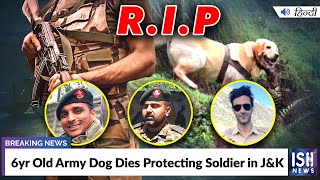 6yr Old Army Dog Dies Protecting Soldier in J&K