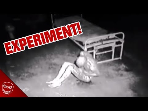 Forscher erschufen grauenhafte Kreaturen! Das Harbinger Experiment!