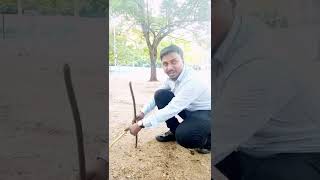 Download lagu Pythagoras theorem while Cutting Tree | Maths in Real Life mp3