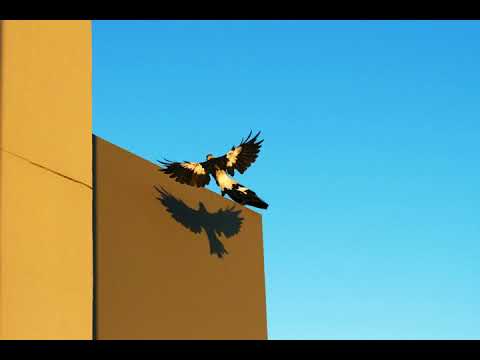 Dallas Superstars - Higher [2006] HQ