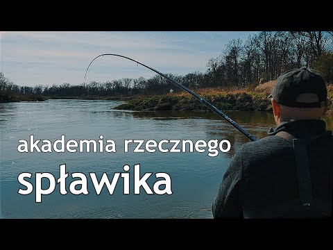 Akademia rzecznego spławika. Bolonka niskobudżetowa Delphin. Cz 1