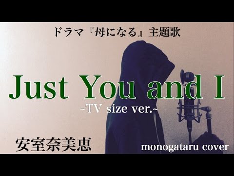 【歌詞付き】 Just You and I ~TV size ver ~ (ドラマ『母になる』主題歌) - 安室奈美恵 (monogataru cover)